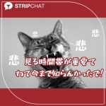 【2025最新版】ストリップチャット分析｜日本が世界1位を継続する理由と“無料で最も盛り上がれる時間帯”を徹底解説