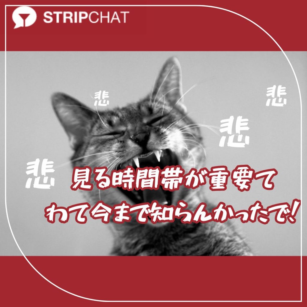 【2025最新版】ストリップチャット分析｜日本が世界1位を継続する理由と“無料で最も盛り上がれる時間帯”を徹底解説